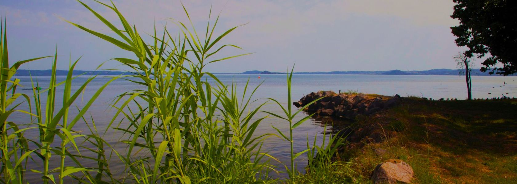 Lungolago